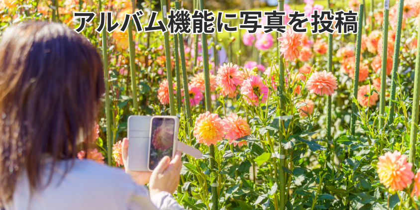 アルバム機能に写真を投稿